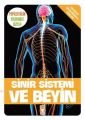 Sinir Sistemi Ve Beyin - Popüler Bilim Vücudumuz Dizisi 9