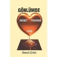 Gönlümde Hikmet Pınarının Arısı, İsmail Çetin, Dilara Yayınları