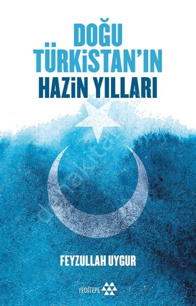 Doğu Türkistan'ın Hazin Yılları, Yeditepe Yayınevi