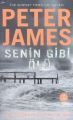 Senin Gibi Ölü, Peter James