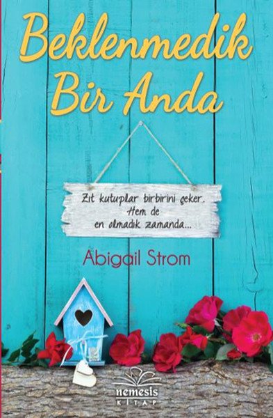 Beklenmedik Bir Anda, Abigail Strom