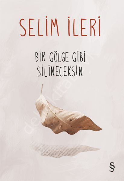 Bir Gölge Gibi Silineceksin, Everest Yayınları