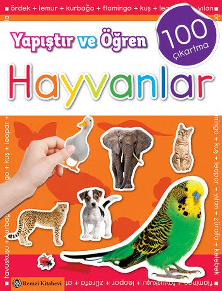Yapıştır ve Öğren Hayvanlar, Kolektif, Remzi Kitabevi