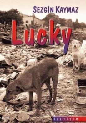Lucky, Sezgin Kaymaz, İletişim