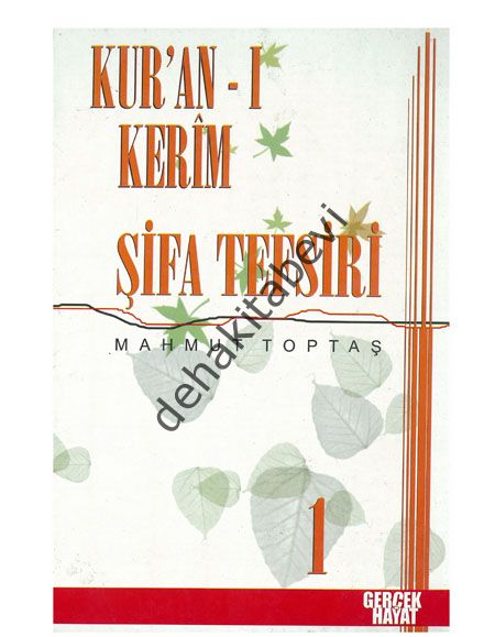 Şifa Tefsiri 2. Cilt, Mahmut Toptaş, Gerçek Hayat