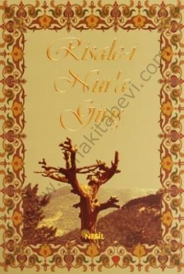 Risale-i Nura Giriş, Nesil Yayınları