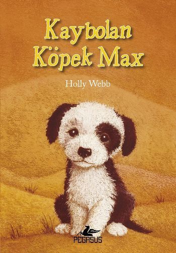 Kaybolan Köpek Max, Holly Webb