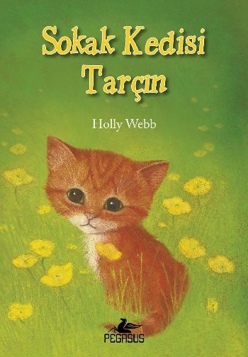 Sokak Kedisi Tarçın, Holly Webb