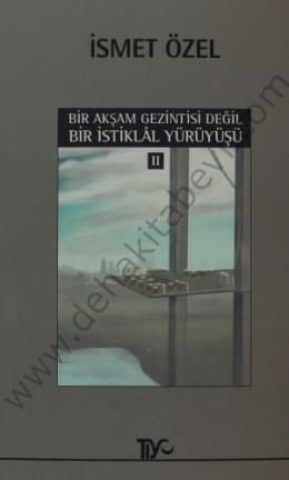 Bir Akşam Gezintisi Değil Bir İstiklal Yürüyüşü 2