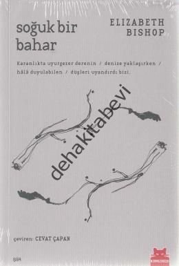 Soğuk Bir Bahar, Elizabeth Bishop
