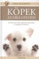 Köpek Ansiklopedisi, Gino Pugnetti, Arkadaş