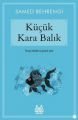 Küçük Kara Balık, Samed Behrengi, Arkadaş