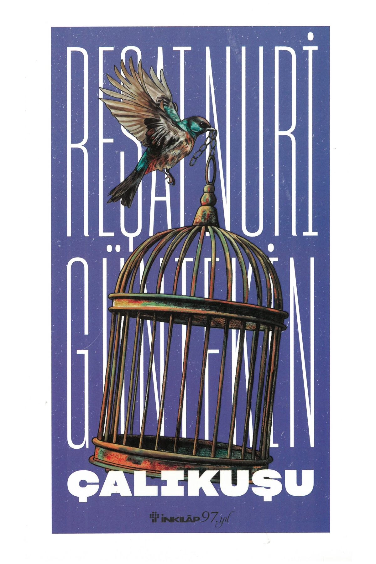 Çalıkuşu - Reşat Nuri Güntekin Inkılap Yayınları 9789751047236