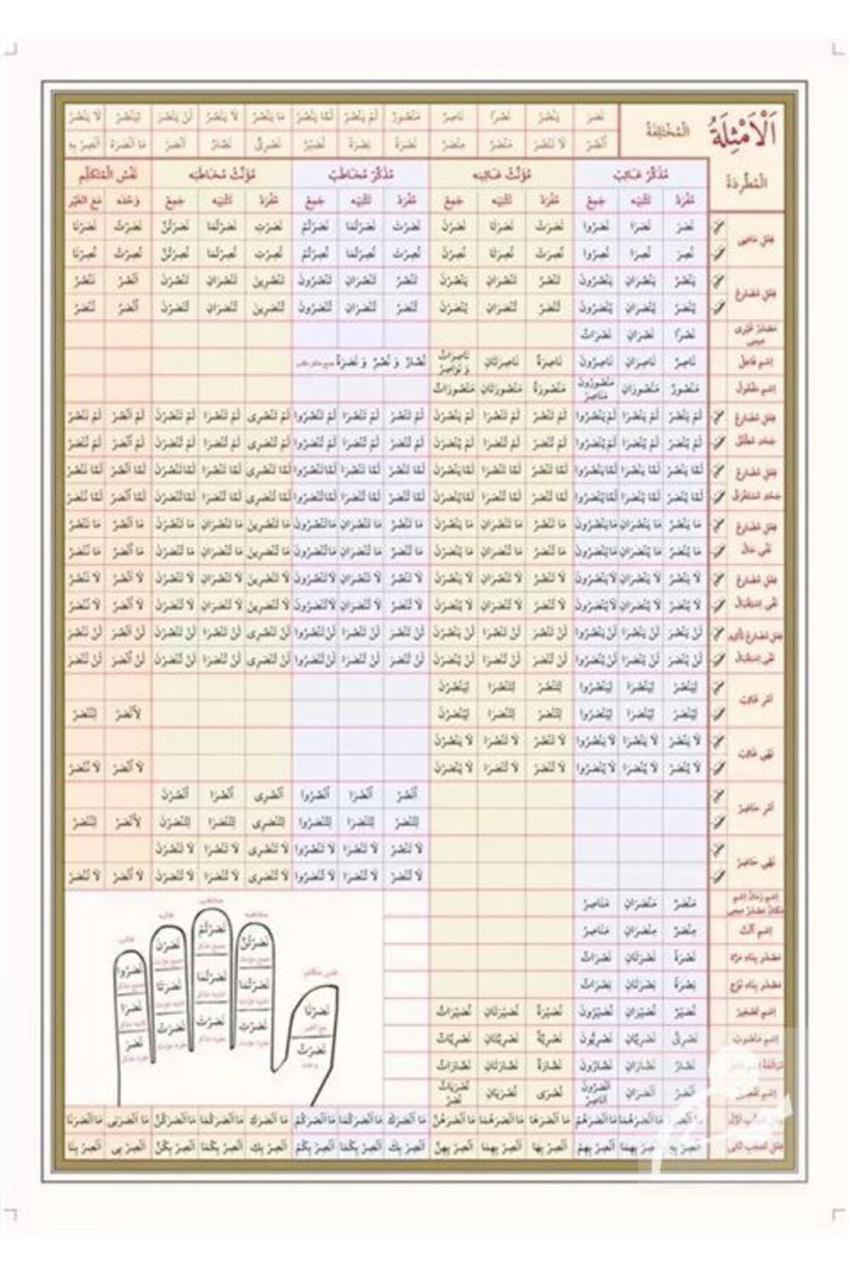 Arapça Emsile Şeması (POSTER TABLO)