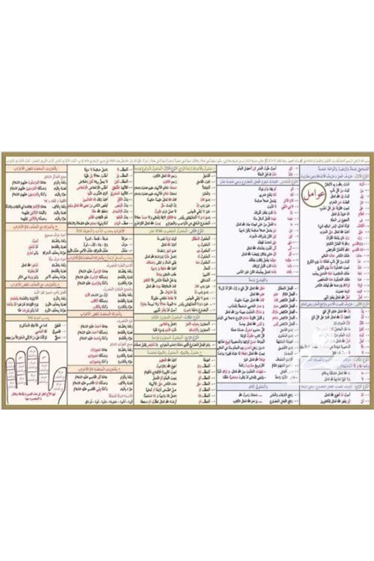 Arapça Avamil Şeması (Poster Tablo)