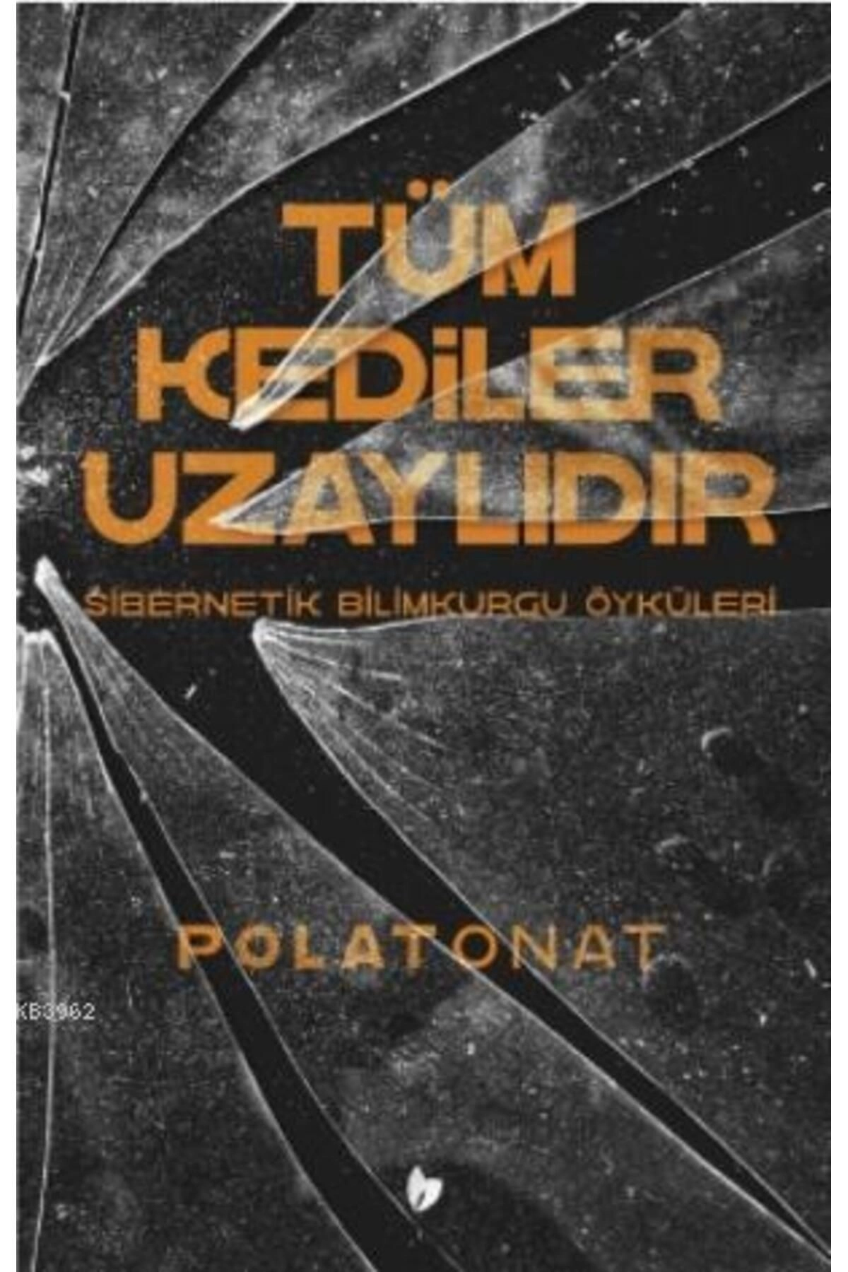 Tüm Kediler Uzaylıdır   Sibernetik Bilimkurgu Öyküleri