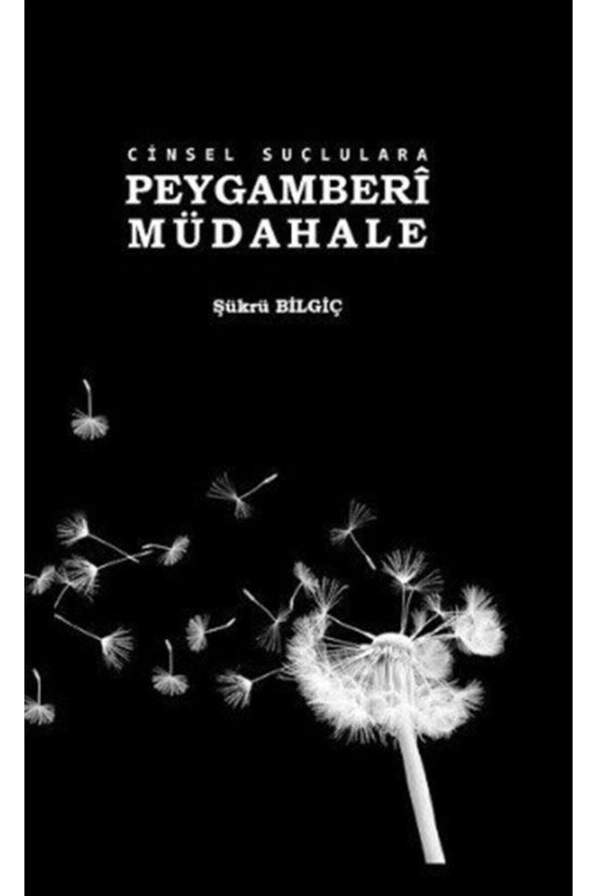 Cinsel Suçlulara Peygamberi Müdahale / Şükrü Bilgiç / / 9786052152324