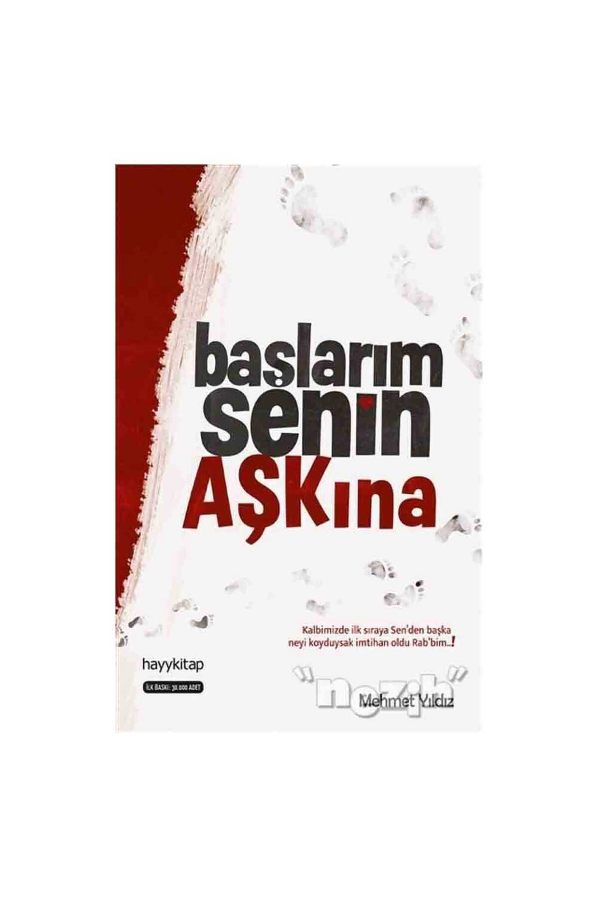 Başlarım Senin Aşkına