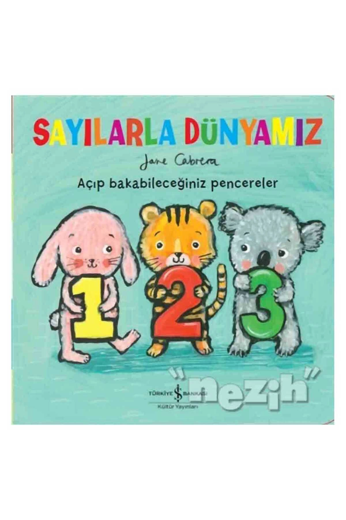 Sayılarla Dünyamız