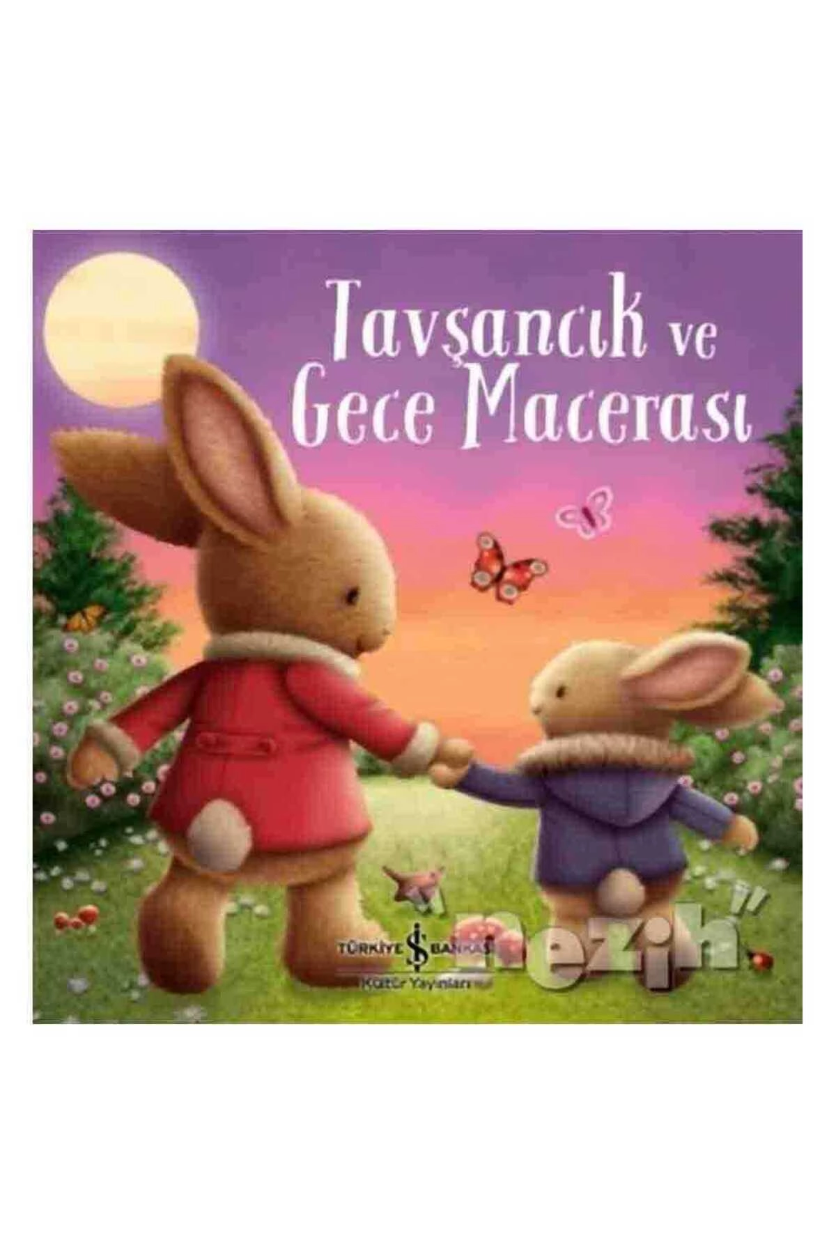 Tavşancık ve Gece Macerası