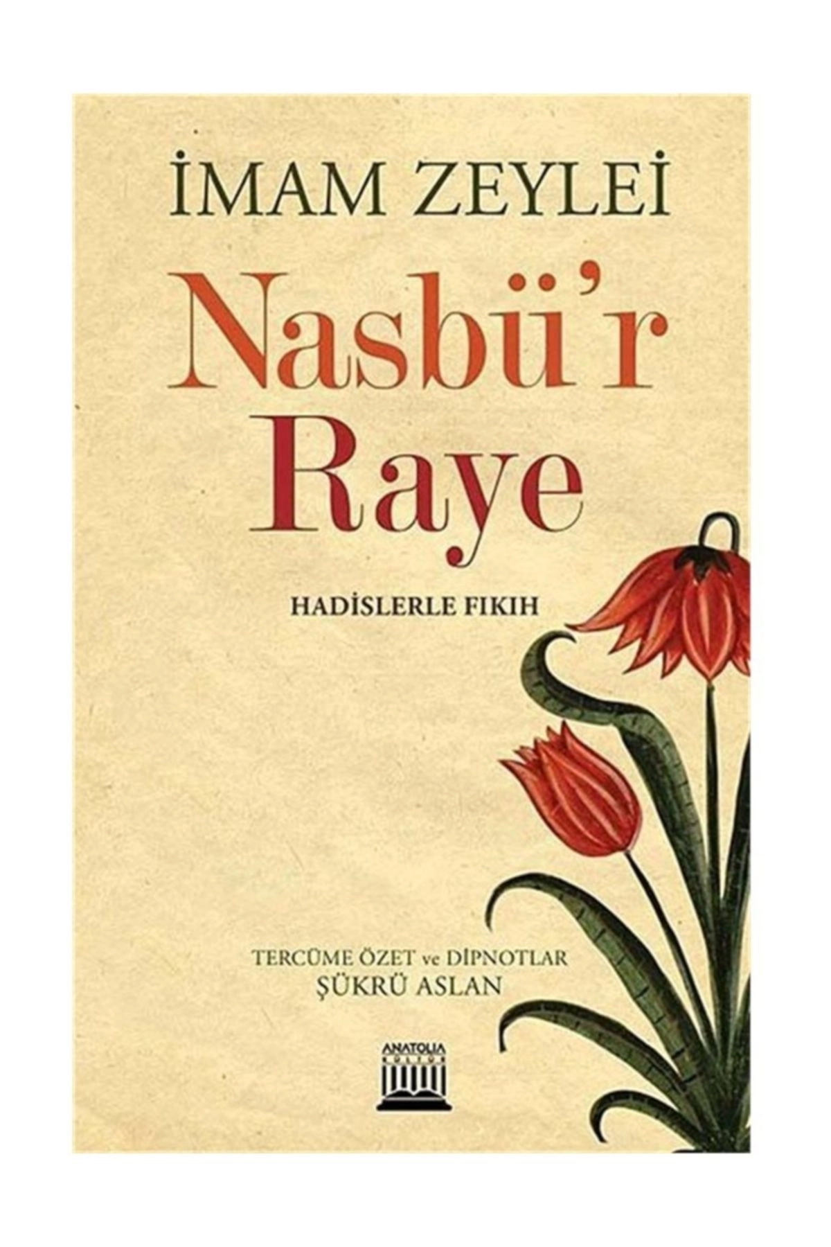 Nasbü'r Raye Hadislerle Fıkıh