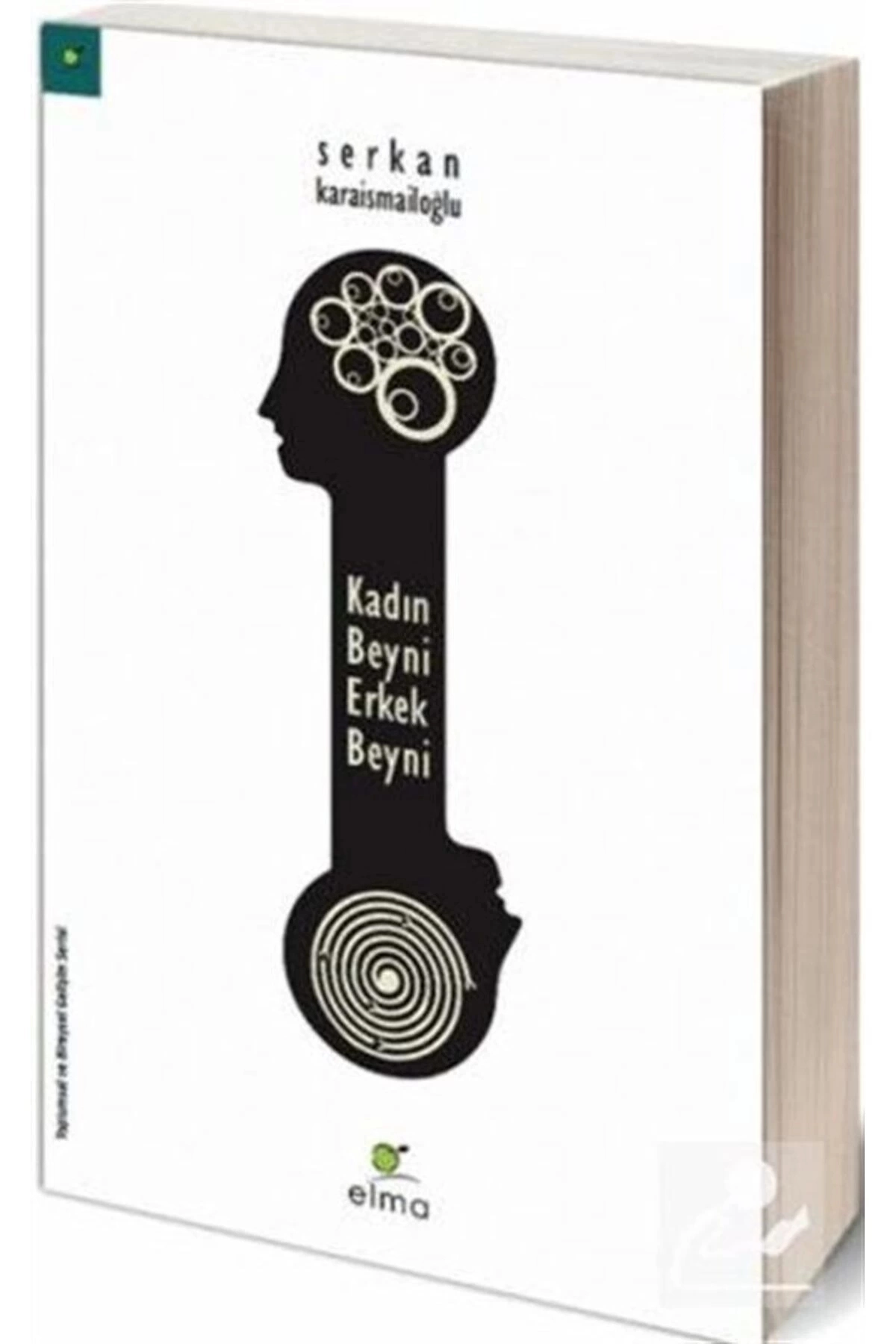 Kadın Beyni Erkek Beyni