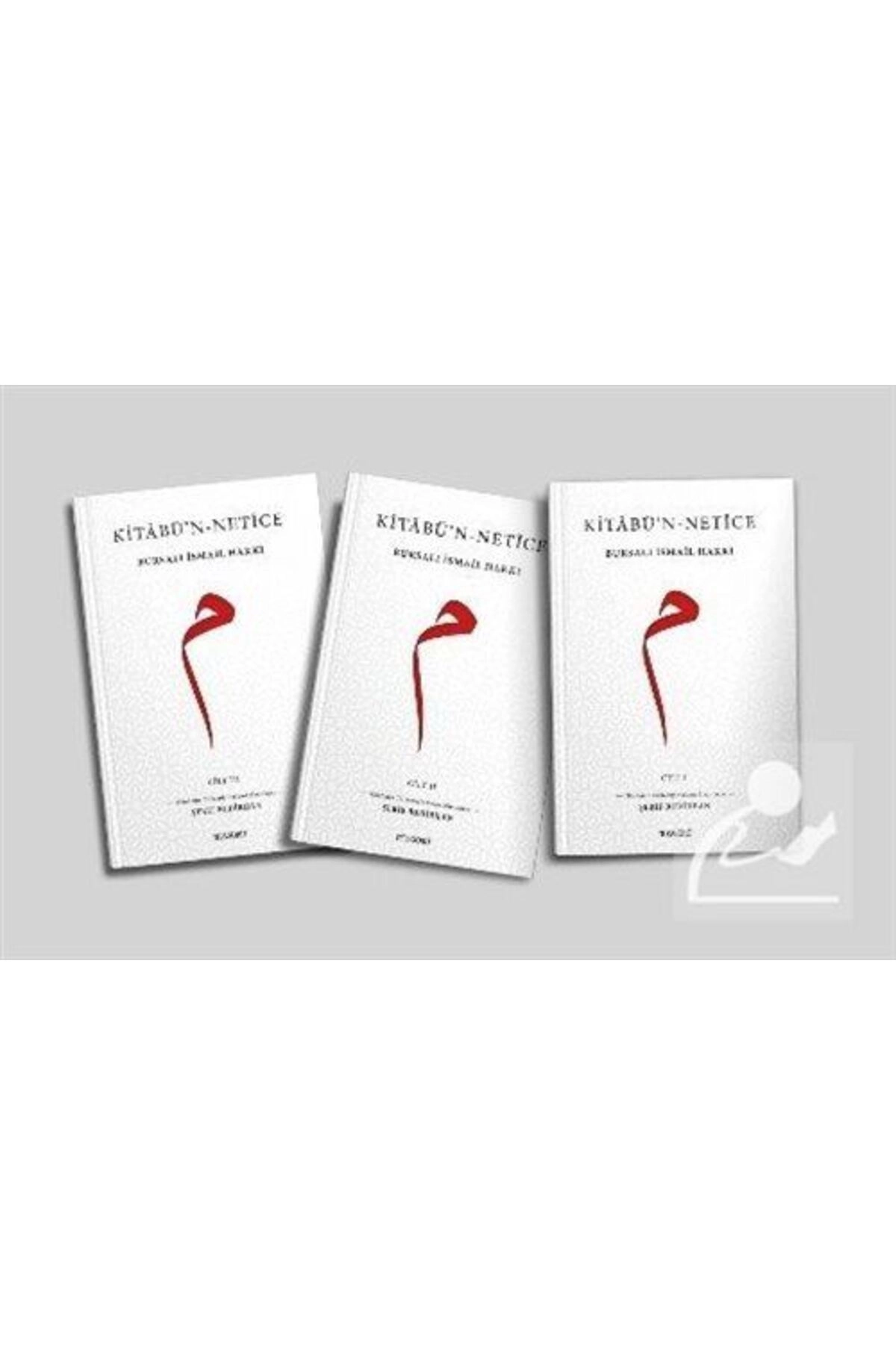 Kitabü'n-netîce (3 CİLT)