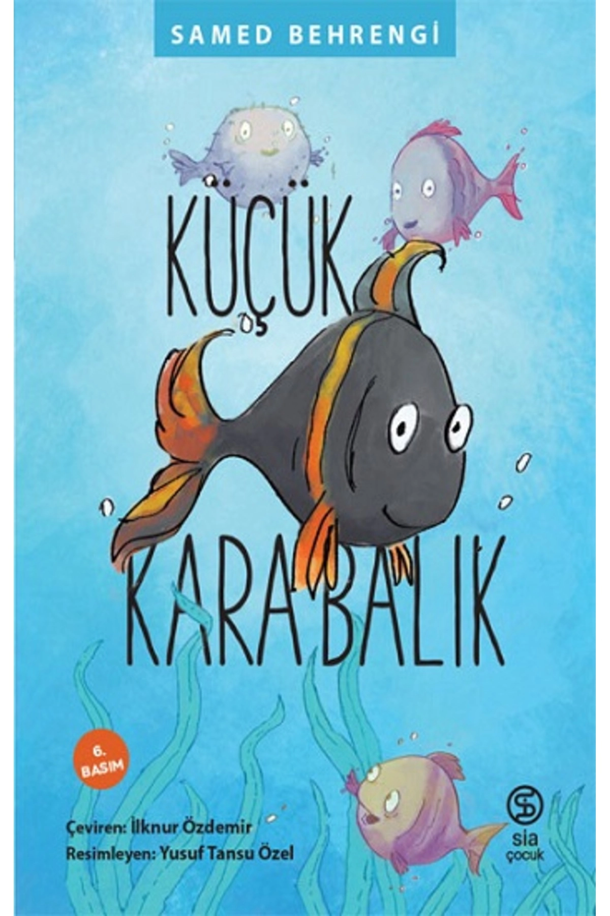 Küçük Kara Balık