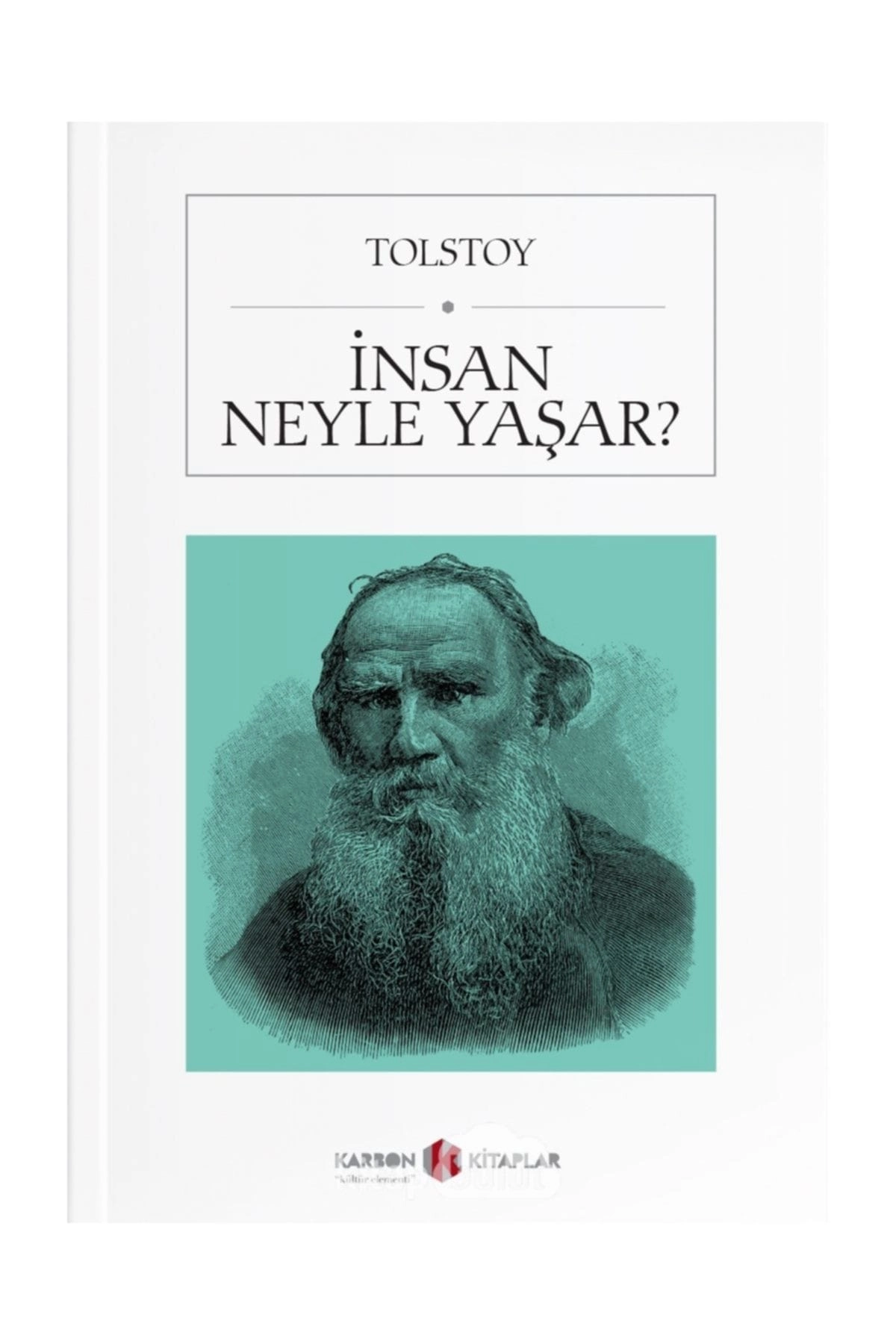 İnsan Neyle Yaşar? (Cep Boy) - Lev Nikolayeviç Tolstoy