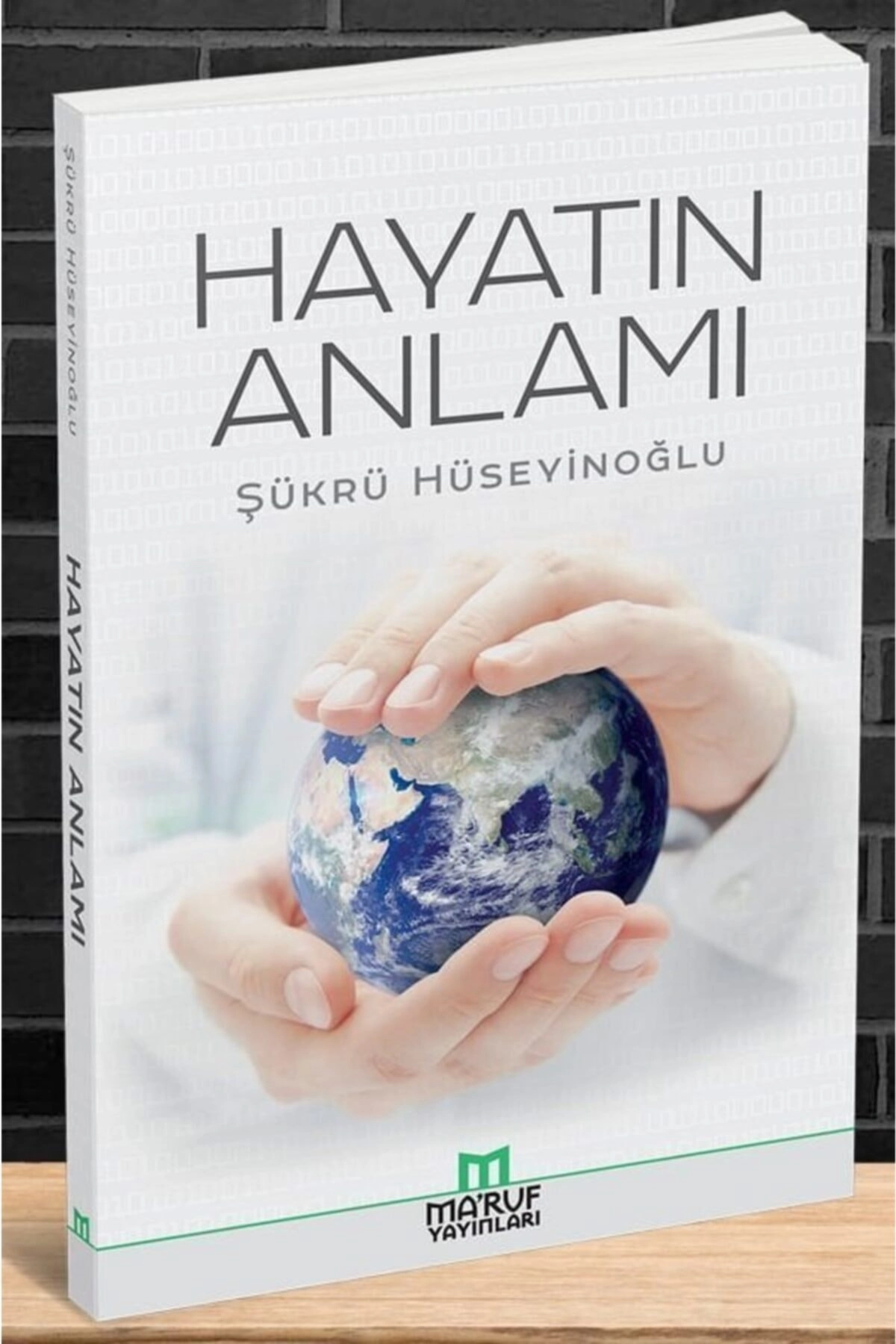 Hayatın Anlamı