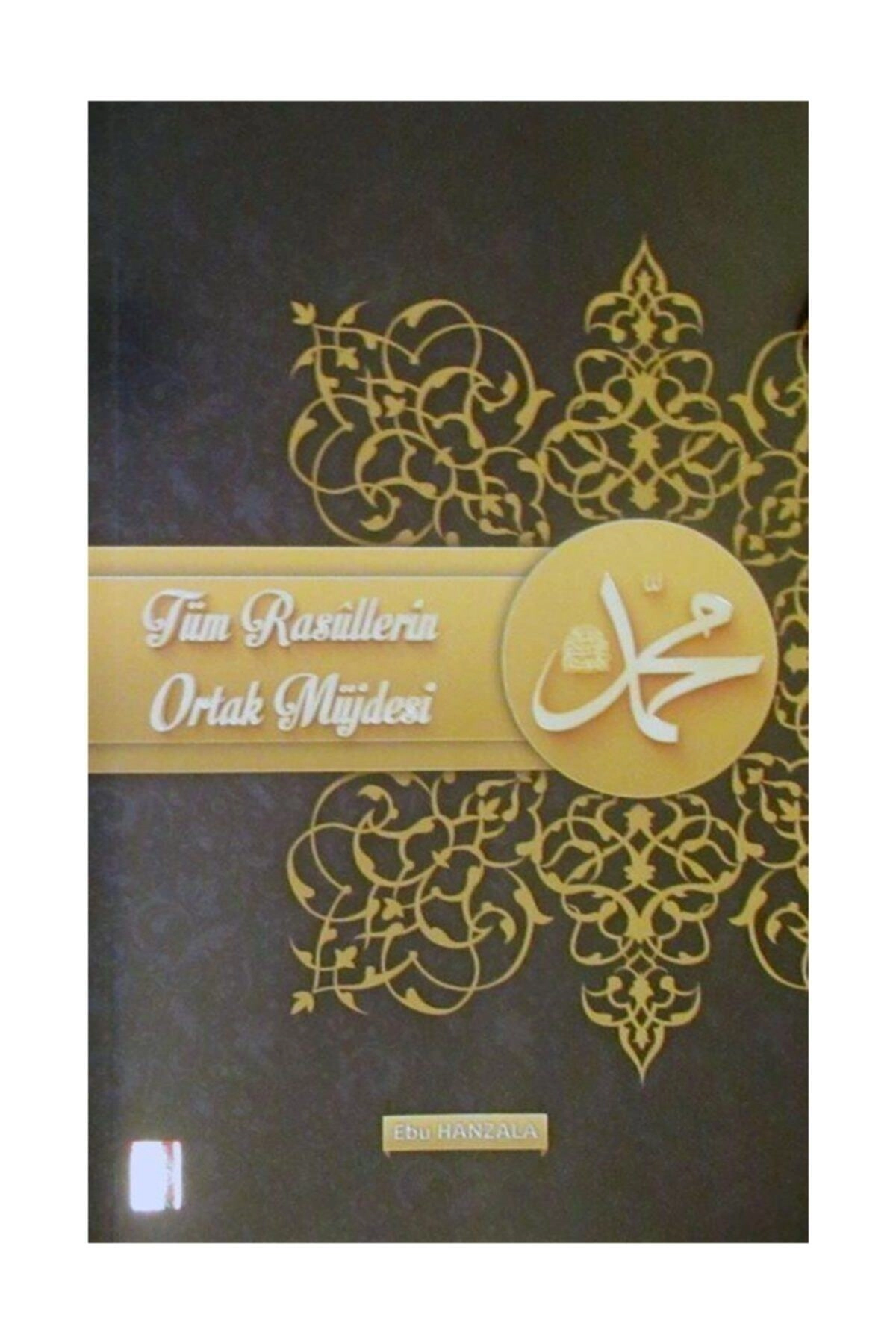 Tüm Rasullerin Ortak Müjdesi