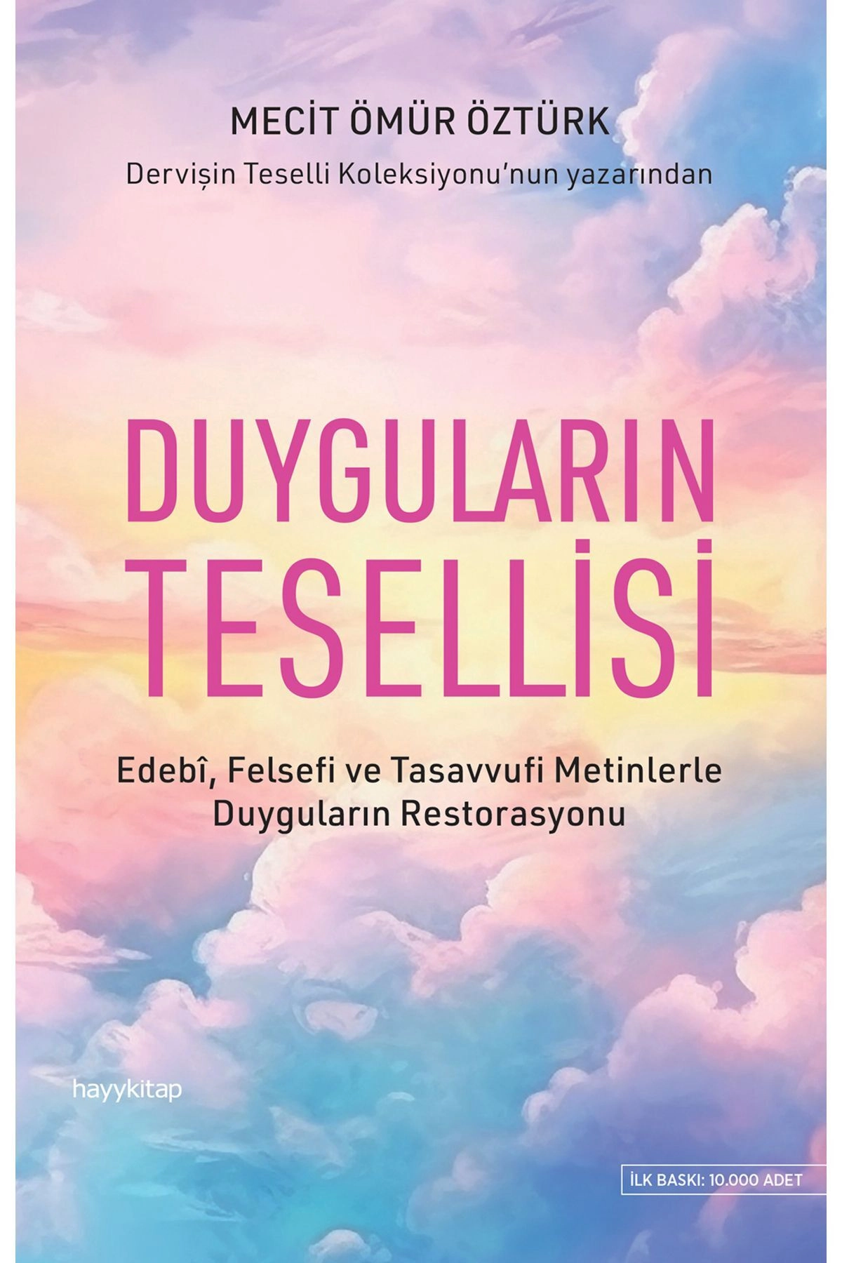 Duyguların Tesellisi / Mecit Ömür Öztürk