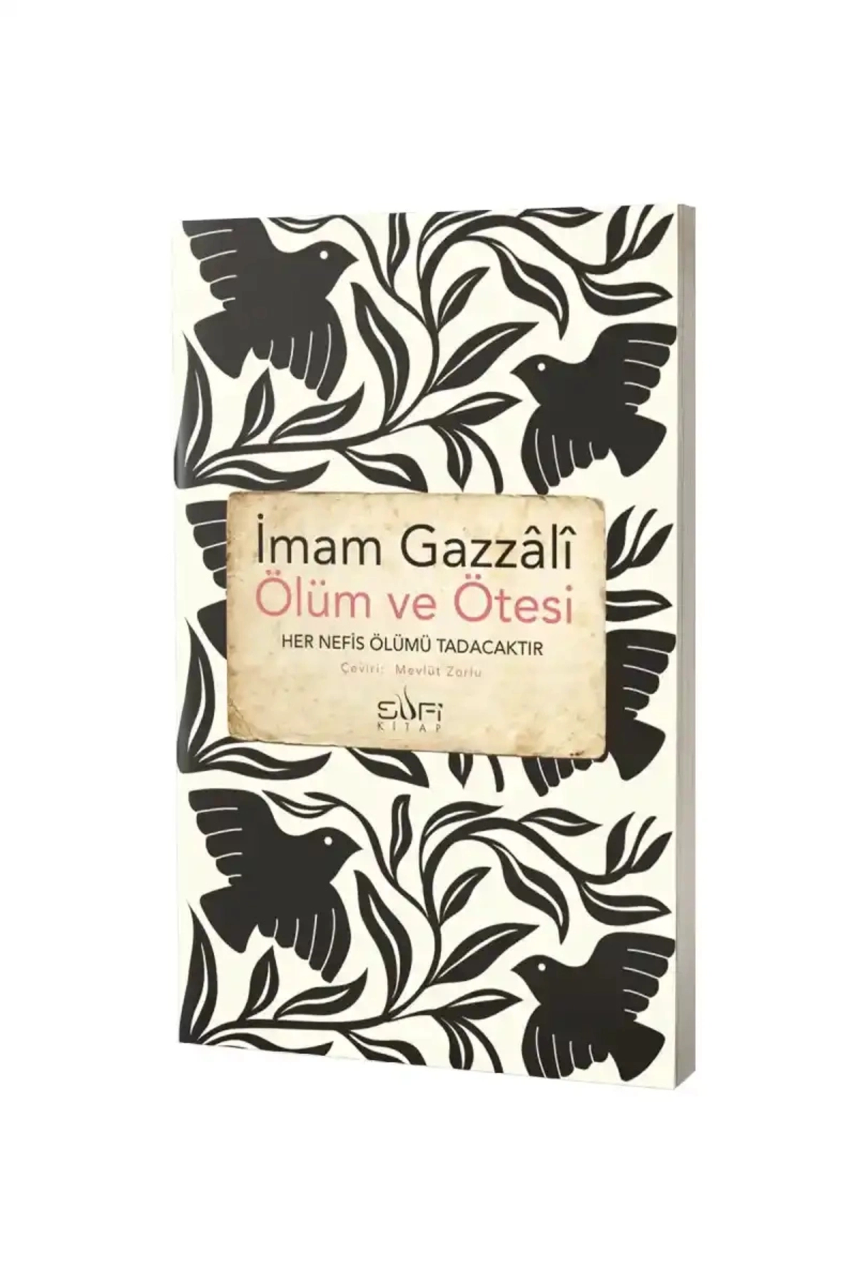 Ölüm Ve Ötesi