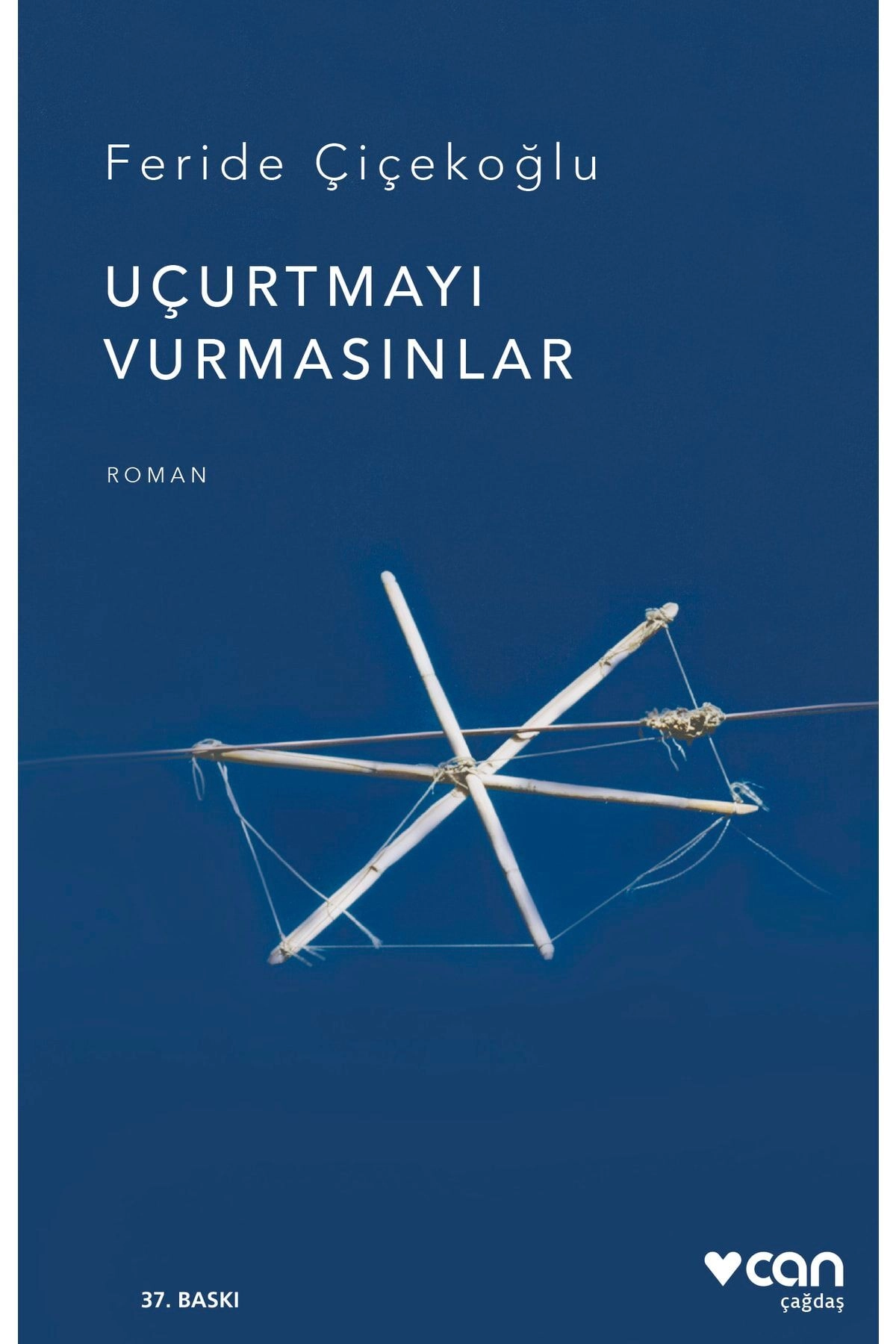 Uçurtmayı Vurmasınlar