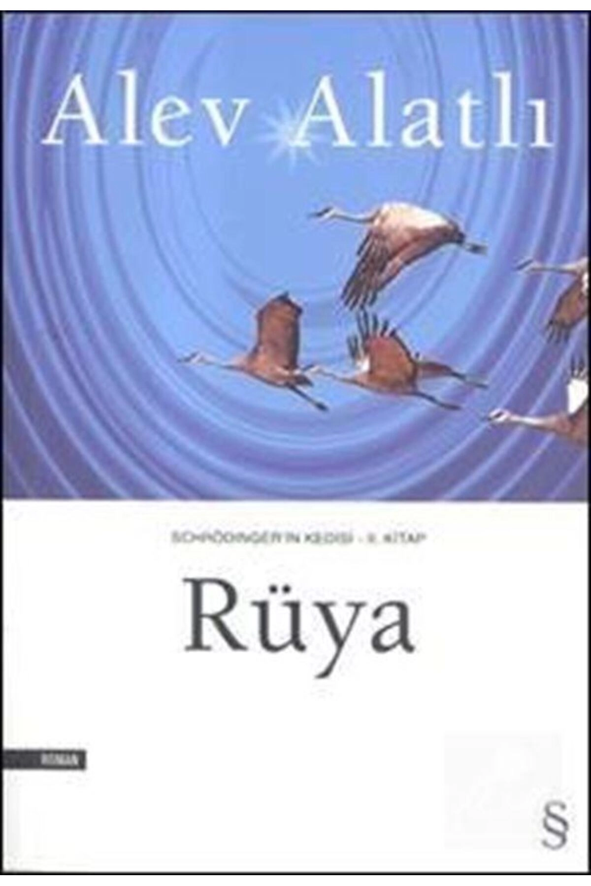 Rüya / Schrödinger'in Kedisi 2