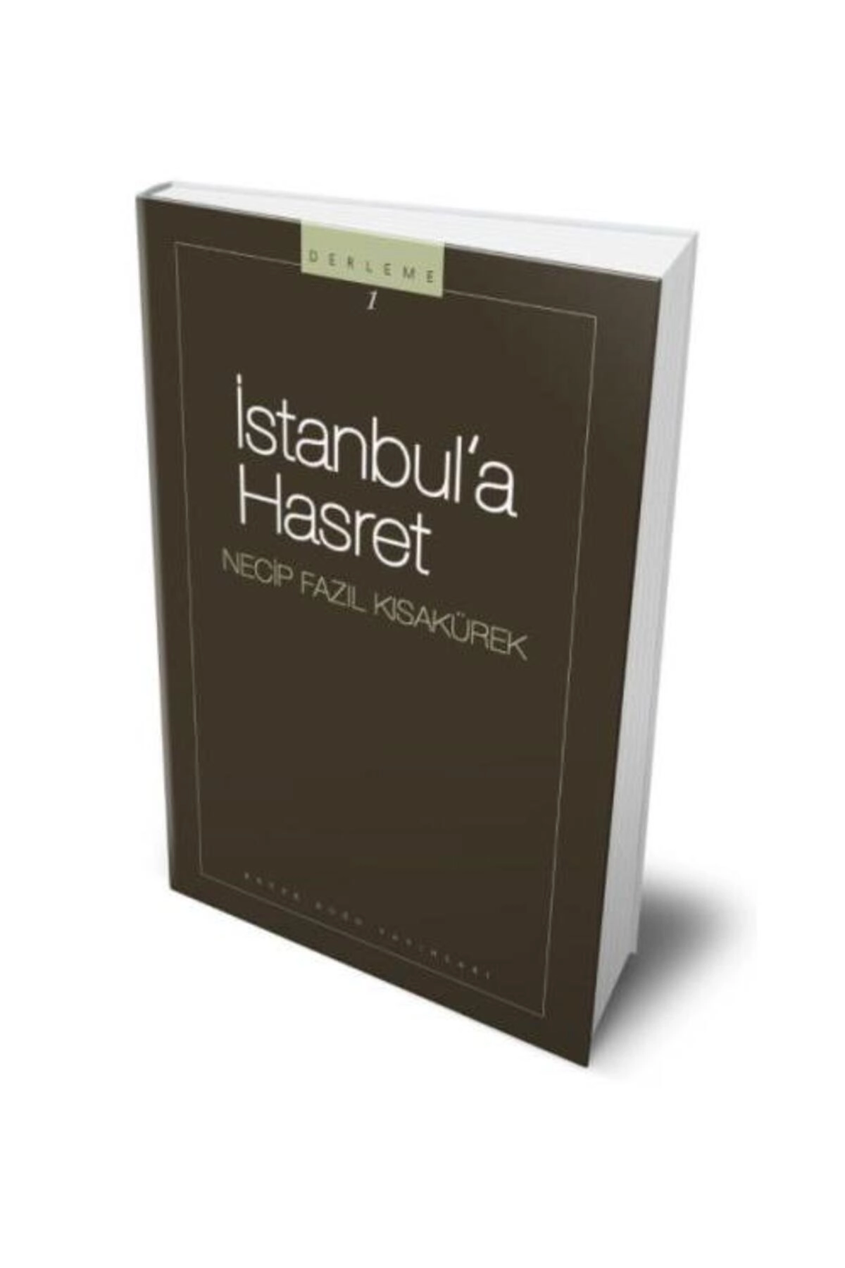 İstanbula Hasret / / Necip Fazıl Kısakürek