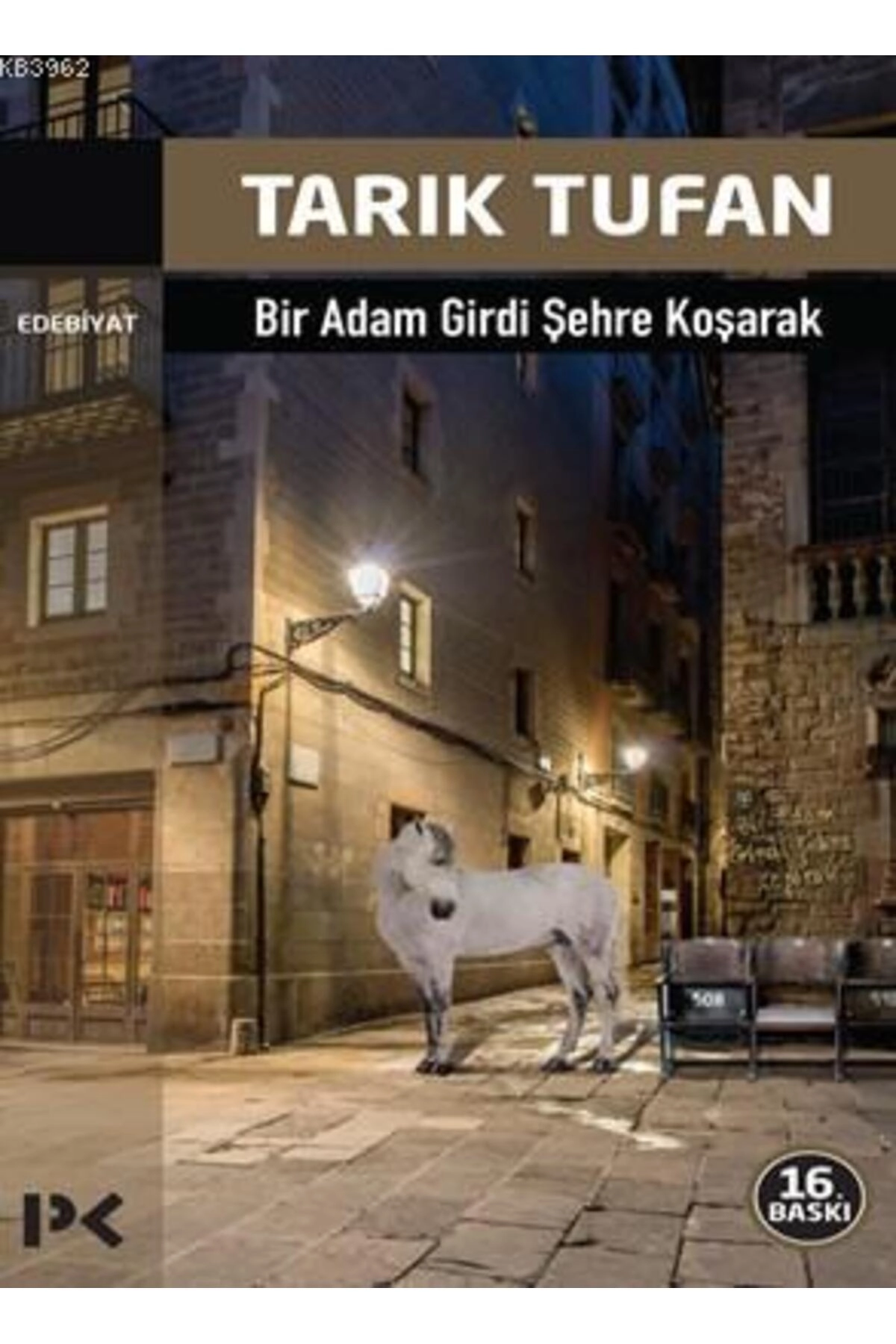 Bir Adam Girdi Şehre Koşarak