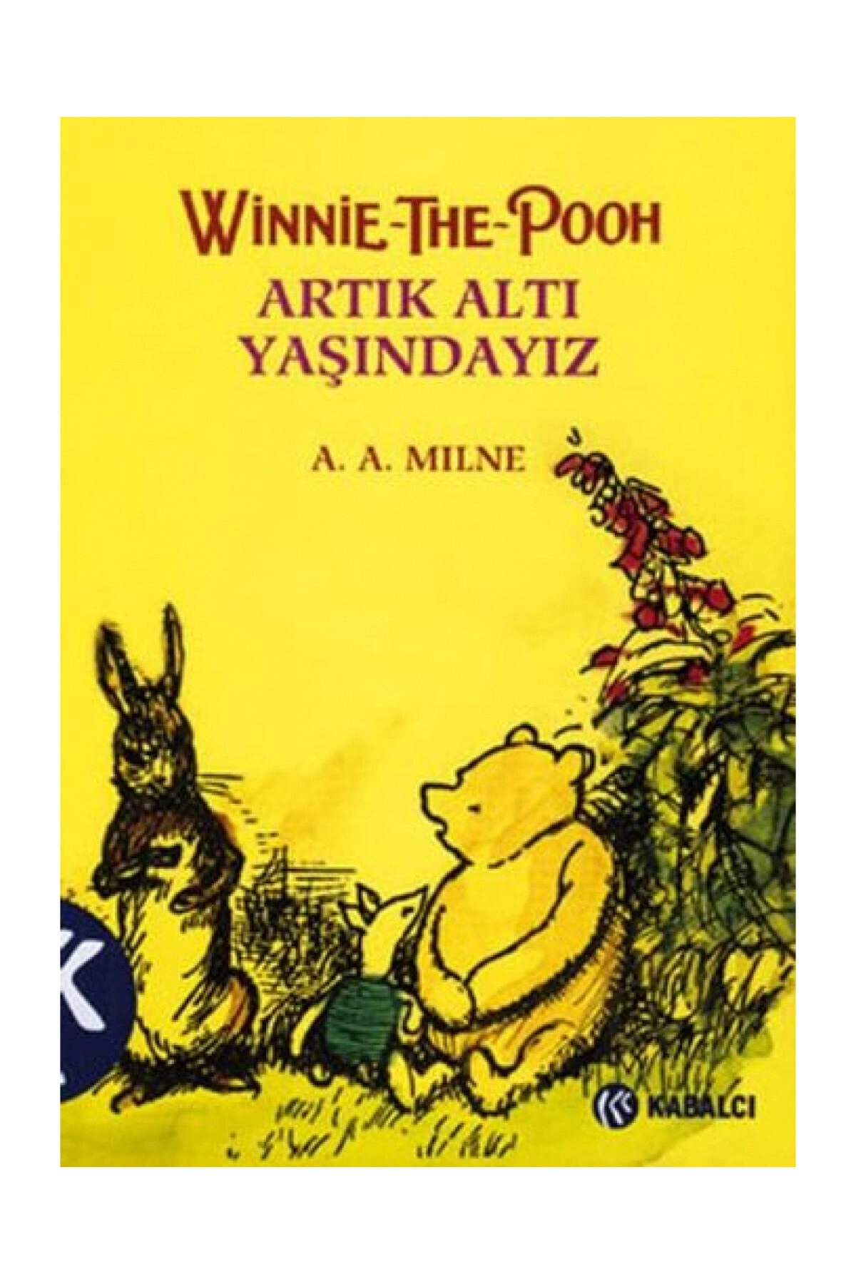 Winnie The Pooh Artık Altı Yaşındayız