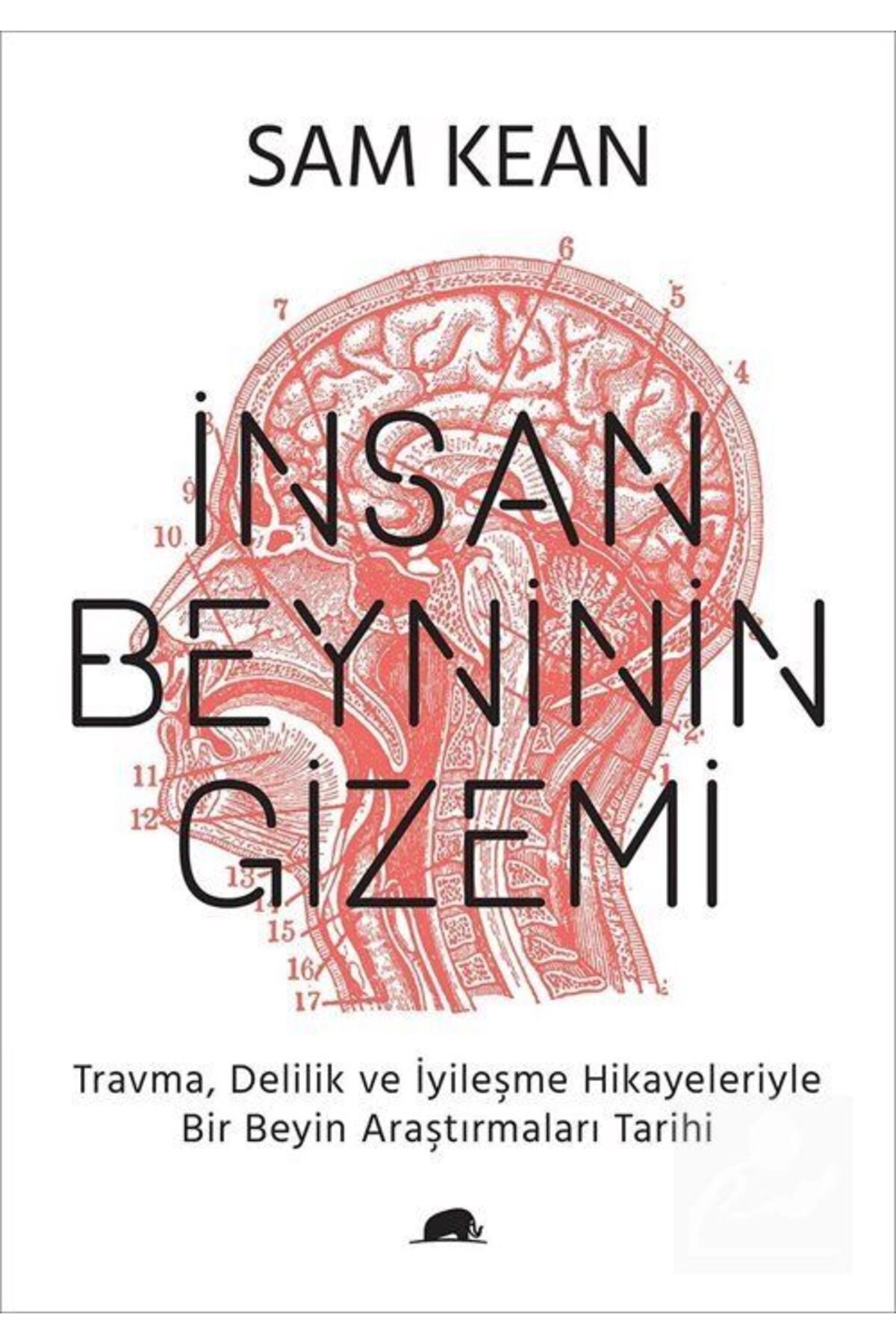 Insan Beyninin Gizemi