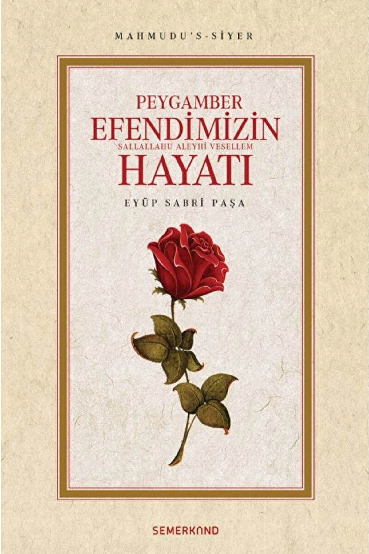 Mahmudus Siyer / Peygamber Efendimizin Hayatı Sav. / Eyüp Sabri Paşa