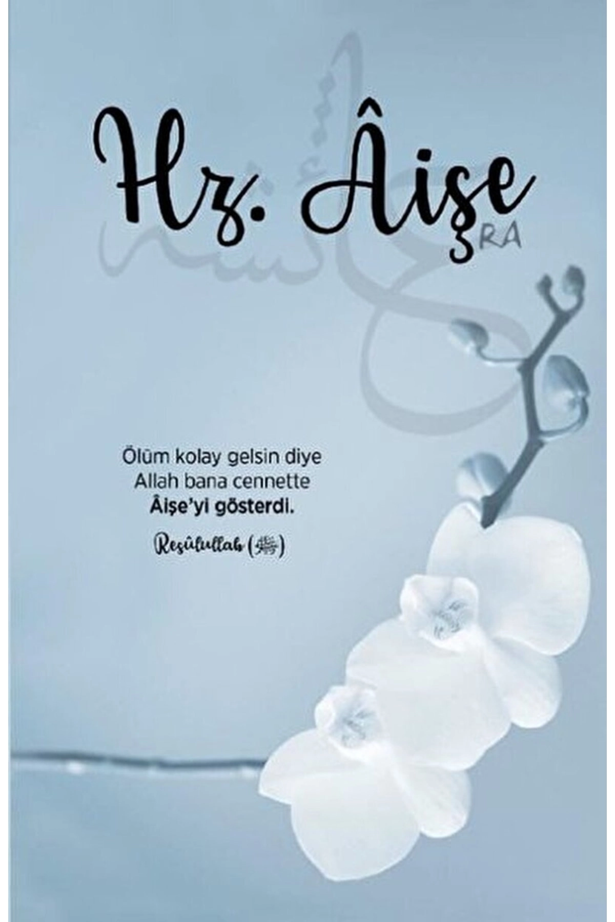 Hz. Aişe Ajandası / Kolektif / / 9786058036628