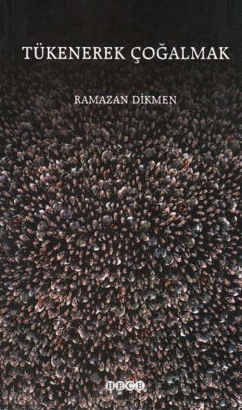 Tükenerek Çoğalmak, Hece Yayınları