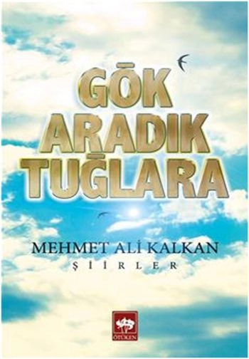 Gök Aradık Tuğlara, Mehmet Ali Kalkan