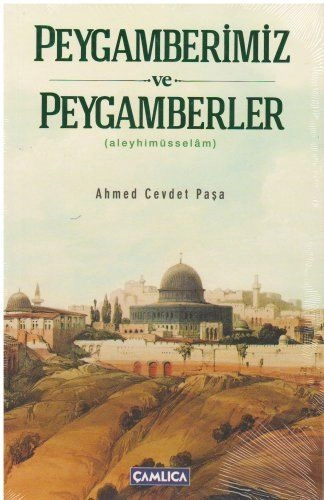 Peygamber Efendimizin Muhtasar Hayatı, Ahmed Cevdet Paşa