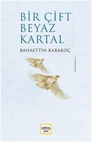 Bir Çift Beyaz Kartal, Nar Yayınları