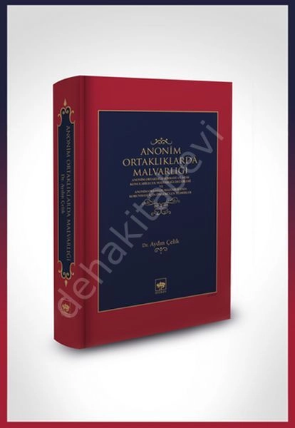 Anonim Ortaklıklarda Malvarlığı, Aydın Çelik