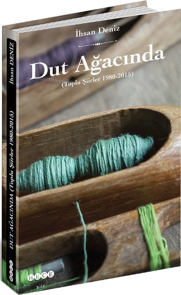 Dut Ağacında, Hece Yayınları