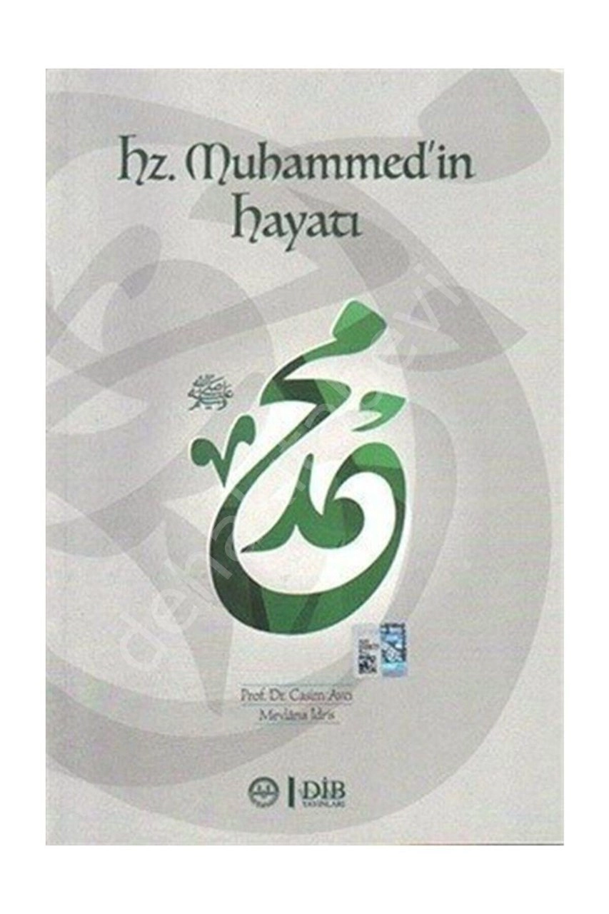 Hz. Muhammedin Hayatı, Casim Avcı, Mevlana İdris