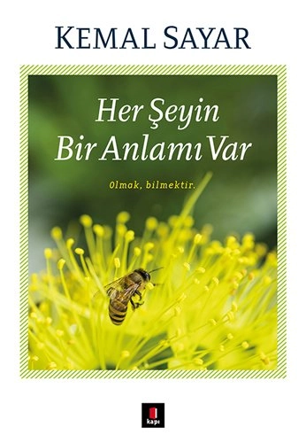 Her Şeyin Bir Anlamı Var, Kapı Yayınları