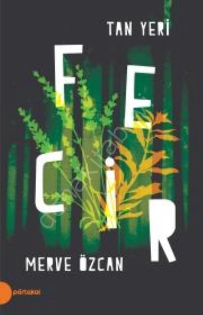 Tan Yeri 2 / Fecir, Portakal Kitap